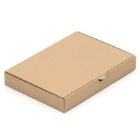 305x220x44 mm Maxibrief Karton A4