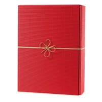 100 Fertigschleife Geschenkschleife 50-100 cm Gold