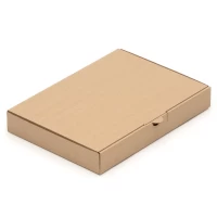 Maxibriefkarton DIN A4 305 x 220 x 44 mm Braun