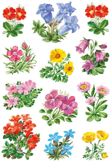 HERMA 3582 10x Sticker DECOR Gebirgsblumen