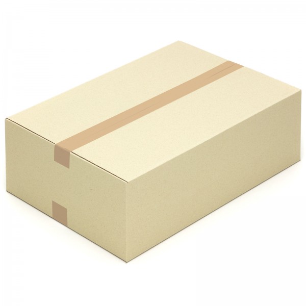 Graspapier-Karton Faltkarton 600 x 400 x 200 mm aus Graspapier