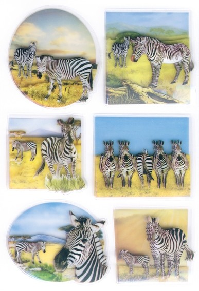 HERMA 6254 10x Sticker MAGIC Zebras, 3D Folie