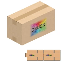 610x300x330 mm zweiwellige Kartons mit Digitaldruck