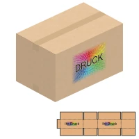 540x340x320 mm zweiwellige Kartons mit Digitaldruck