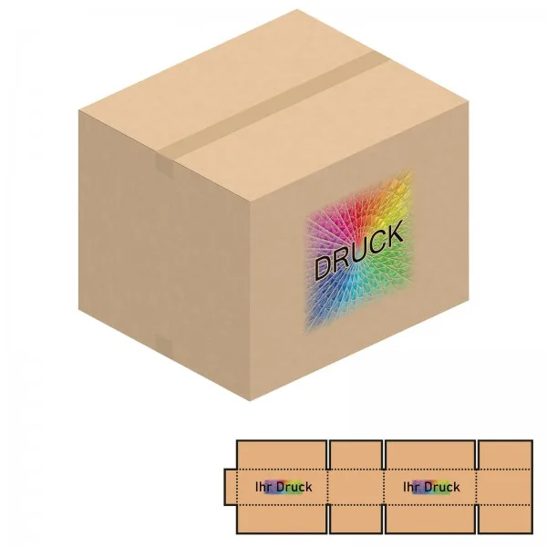 650x550x500 mm zweiwellige Kartons mit Digitaldruck
