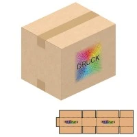 250x200x200 mm zweiwellige Kartons mit Digitaldruck