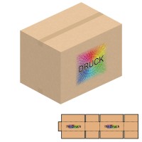 700x500x200-500 mm zweiwellige Kartons mit Digitaldruck
