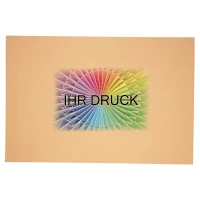 780x1180 mm Wellpapp-Zuschnitt Europalette einwellig mit Digitaldruck