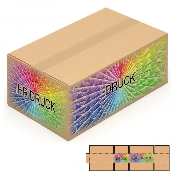 Faltkarton 500 x 300 x 200 mm mit Digitaldruck