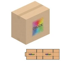 450x300x400 mm zweiwellige Kartons A3+ mit Digitaldruck