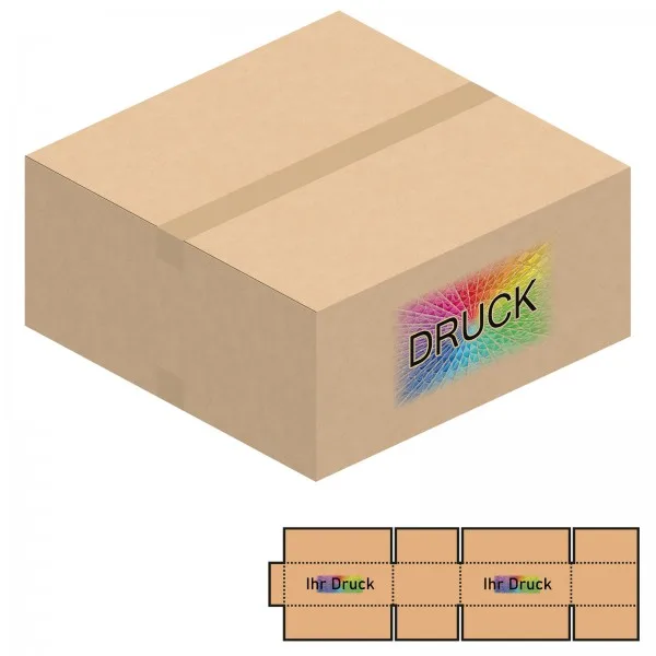 550x550x250 mm zweiwellige Kartons mit Digitaldruck