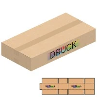 600x300x100 mm zweiwellige Kartons mit Digitaldruck