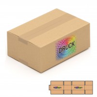 250x175x100 mm einwellige Kartons mit Digitaldruck