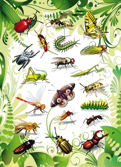 HERMA 3231 10x Sticker MAGIC Insekten 2D Folie