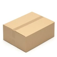 500x400x200 mm zweiwellige Kartons