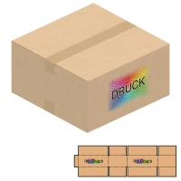 380x380x200 mm zweiwellige Kartons mit Digitaldruck