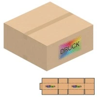 550x550x250 mm zweiwellige Kartons mit Digitaldruck