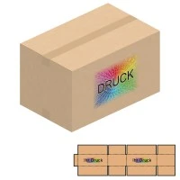 550x350x220-320 mm zweiwellige Kartons mit Digitaldruck