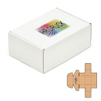 220x160x90 mm einwellige Faltschachtel, weiß mit Digitaldruck