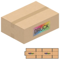 419x296x134 mm zweiwellige Kartons mit Digitaldruck