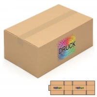 Faltkarton 500 x 300 x 200 mm mit Digitaldruck