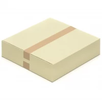 Graspapier-Karton Faltkarton 400 x 400 x 100 mm aus Graspapier