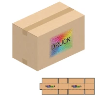 890x510x530 mm zweiwellige Kartons mit Digitaldruck