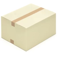 Graspapier-Karton Faltkarton 450 x 350 x 250 mm aus Graspapier