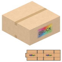 580x580x250 mm einwellige Kartons mit Digitaldruck