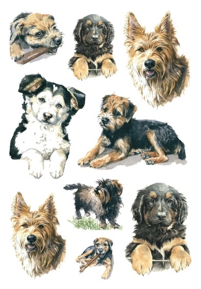 HERMA 3341 10x Sticker DECOR Hunde