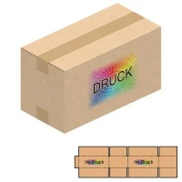 610x300x330 mm zweiwellige Kartons mit Digitaldruck