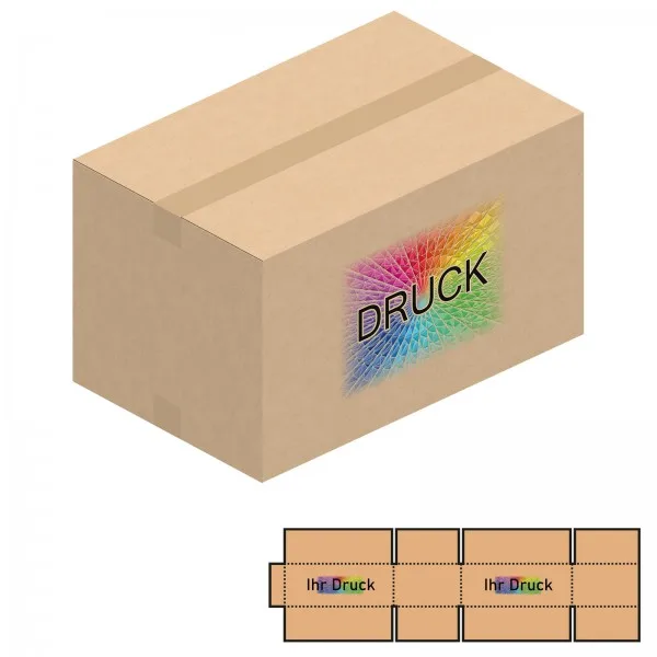 550x350x220-320 mm zweiwellige Kartons mit Digitaldruck