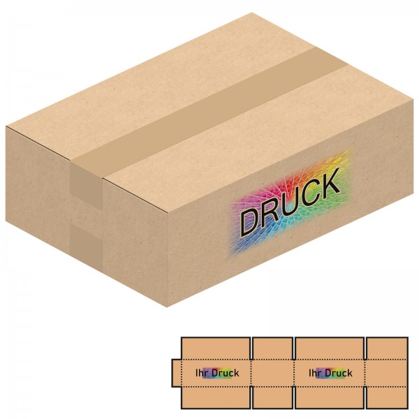 310x220x100 mm zweiwellige Kartons A4+ mit Digitaldruck