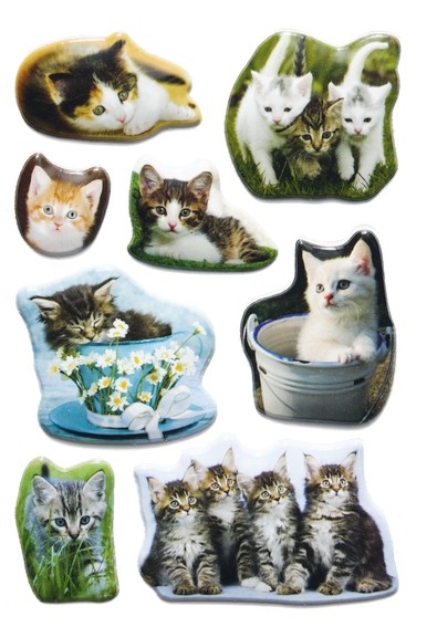 HERMA 6196 10x Sticker MAGIC Tierfotos Katzen, Lackpuffy