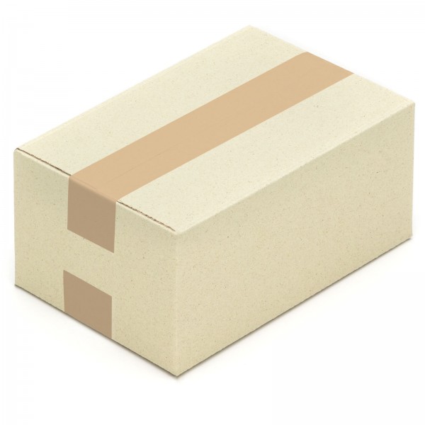 Graspapier-Karton Faltkarton 260 x 170 x 120 mm aus Graspapier