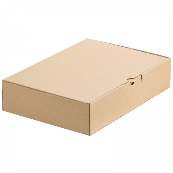 Faltschachtel Karton DHL Kleinpaket 350 x 250 x 80 mm