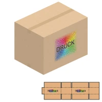 700x500x200-500 mm zweiwellige Kartons mit Digitaldruck