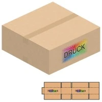500x500x200 mm zweiwellige Kartons mit Digitaldruck