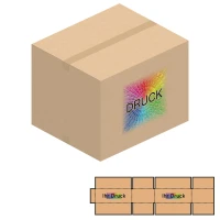 650x550x500 mm zweiwellige Kartons mit Digitaldruck