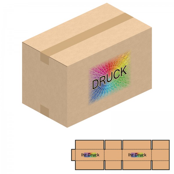 890x510x530 mm zweiwellige Kartons mit Digitaldruck