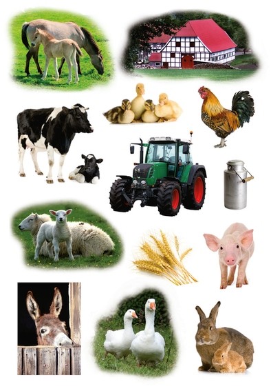 HERMA 3358 10x Sticker DECOR Bauernhoftiere