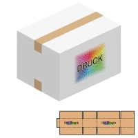 385x285x250 mm zweiwellige Kartons, weiß mit Digitaldruck