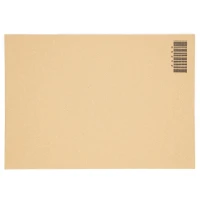 Wellpapp-Zuschnitt Kartonzuschnitt 297 x 420 mm DIN A3 (zweiwellig)