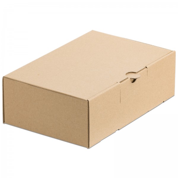 Faltschachtel Karton DHL Kleinpaket 240 x 160 x 80 mm