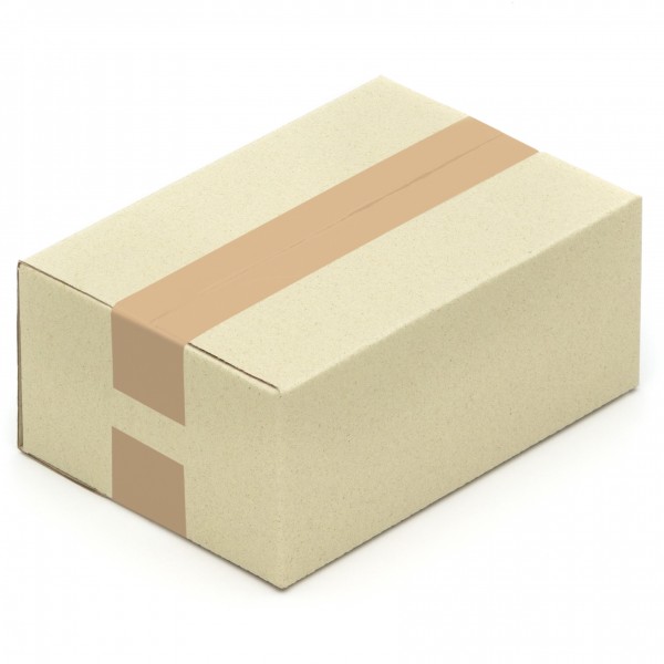 Graspapier-Karton Faltkarton 250 x 175 x 100 mm aus Graspapier
