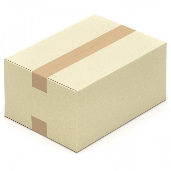 Graspapier-Karton Faltkarton 320 x 240 x 160 mm aus Graspapier
