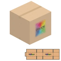 550x550x500 mm zweiwellige Kartons mit Digitaldruck