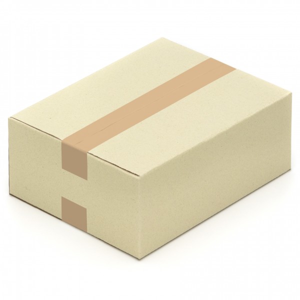 Graspapier-Karton Faltkarton 320 x 250 x 120 mm aus Graspapier