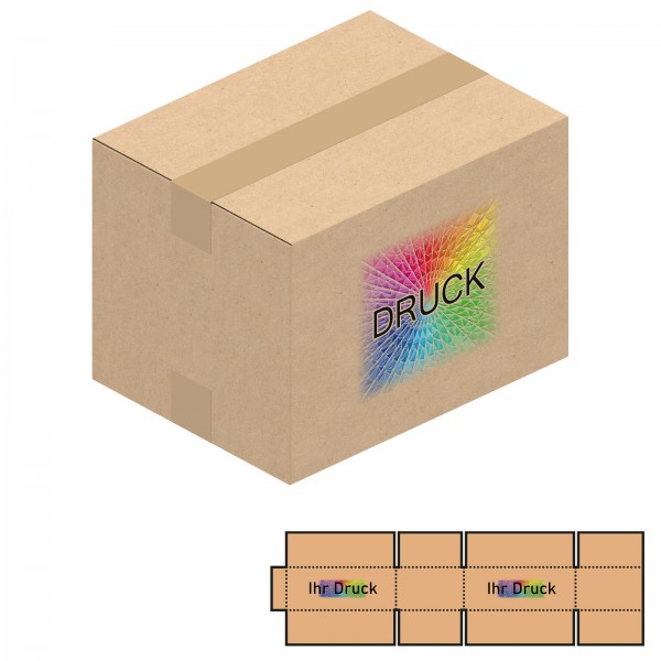 220x170x120-160 mm zweiwellige Kartons mit Digitaldruck