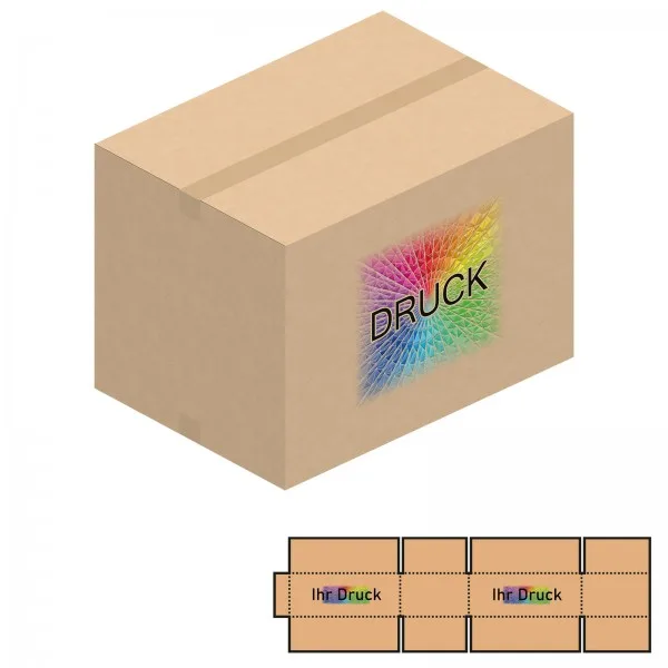 700x500x200-500 mm zweiwellige Kartons mit Digitaldruck